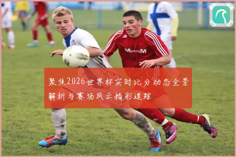 聚焦2026世界杯实时比分动态全景解析与赛场风云精彩追踪