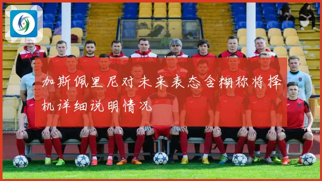 加斯佩里尼对未来表态含糊称将择机详细说明情况