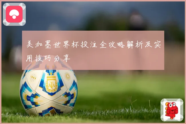 美加墨世界杯投注全攻略解析及实用技巧分享
